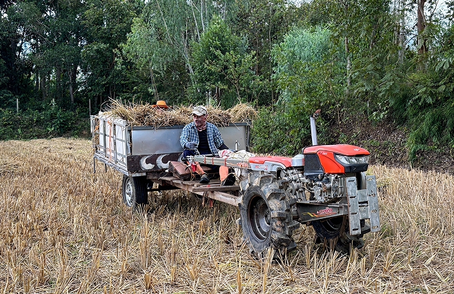 Power Tiller 2