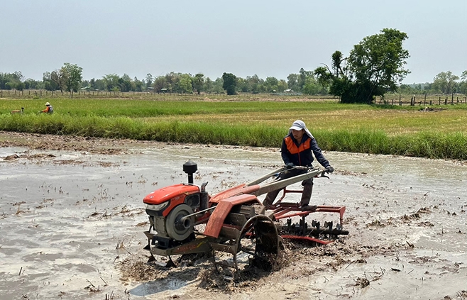 Power Tiller 7